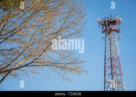 Ein unabhängiger Handy-Metallturm, der einem Teil eines Baumes gegenübergestellt und vor einem klaren, blauen, wolkenlosen Himmel aufgestellt ist. Stockfoto
