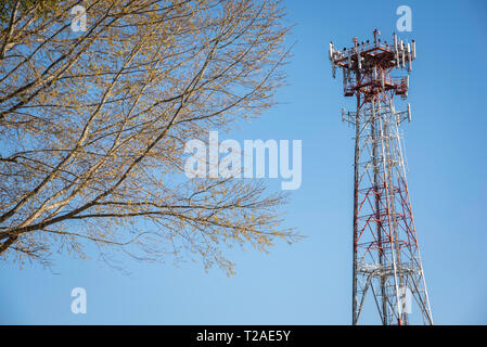 Ein unabhängiger Handy-Metallturm, der einem Teil eines Baumes gegenübergestellt und vor einem klaren, blauen, wolkenlosen Himmel aufgestellt ist. Stockfoto