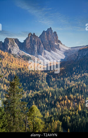 Pinien und Berg in den Dolomiten, Südtirol, Italien Stockfoto