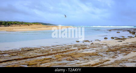 Möwe über dem Mund des Shoalhaven River Mund, wo Sie das Meer an Shoalhaven Köpfe, New South Wales, NSW, Australien Fliegen erfüllt. Stockfoto