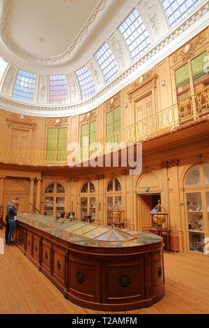 HAARLEM, Niederlande - 24 März, 2019: Der Ovale Raum (von 1784 datiert) innen Teylers Museum (Kunst, Natur und Wissenschaft) mit Holz- und verzierten Stockfoto