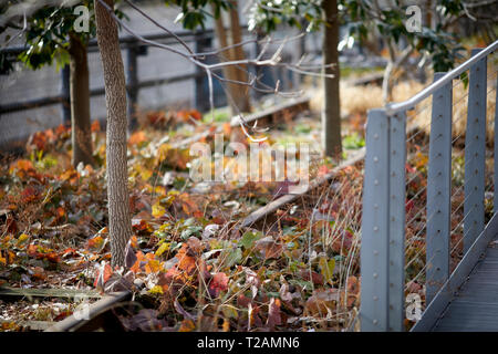 Winter Herbst schließen sich ausführlich der High Line erhöhten linearen Park, Greenway ehemalige Rail Trail auf einem ehemaligen New York Central Railroad erstellt in Manha Stockfoto