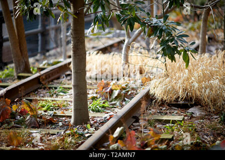 Winter Herbst schließen sich ausführlich der High Line erhöhten linearen Park, Greenway ehemalige Rail Trail auf einem ehemaligen New York Central Railroad erstellt in Manha Stockfoto