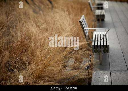 Winter Herbst close up Bank Detail der High Line erhöhten linearen Park, Greenway ehemalige Rail Trail auf einem ehemaligen New York Central Railroad in erstellt Stockfoto