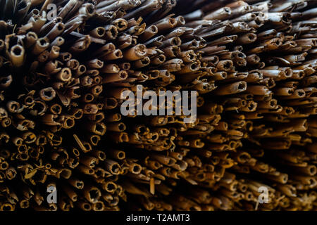 Detail der Reed Strohdach Stockfoto
