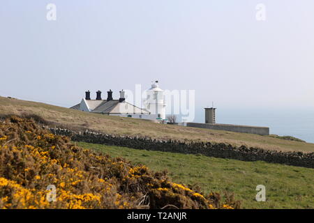 Amboss Point Lighthouse, Durlston Country Park, Swanage, Isle of Purbeck, Dorset, England, Großbritannien, USA, UK, Europa Stockfoto