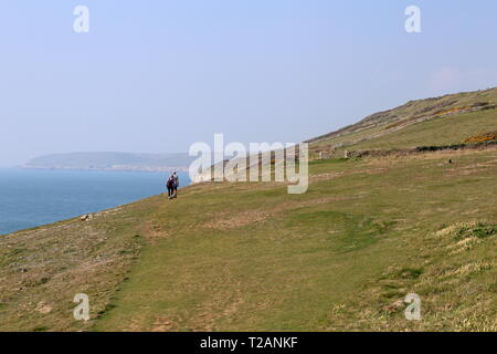 Coast Path, Durlston Country Park, Swanage, Isle of Purbeck, Dorset, England, Großbritannien, USA, UK, Europa Stockfoto