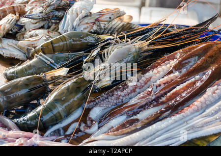 Fischmarkt Counter - frischer Octopus, Scampi und anderen Meeresfrüchten. Close Up. Weligama, Sri Lanka. Stockfoto