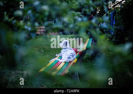 English Setter Welpen "Rudy" liegen auf dem Rastafara 23.06.2017 auf einer Bank im Garten. Rudy wurde Anfang Januar 2017 geboren und hat gerade zu seiner neuen Familie gezogen. | Verwendung weltweit Stockfoto