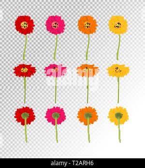Große bunte Gerbers Blumen, Vektor, Abbildung Stock Vektor