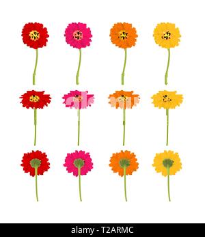 Große bunte Gerbers Blumen, Vektor, Abbildung Stock Vektor