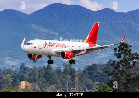 Medellin, Kolumbien - Januar 25, 2019: Avianca Airbus A319 Flugzeug in Medellin Flughafen (MDE) in Kolumbien. | Verwendung weltweit Stockfoto