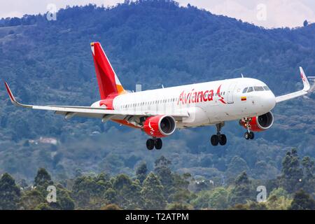 Medellin, Kolumbien - Januar 25, 2019: Avianca Airbus A320 Flugzeug in Medellin Flughafen (MDE) in Kolumbien. | Verwendung weltweit Stockfoto