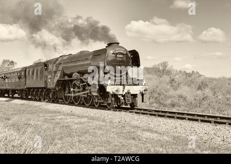 Flying Scotsman Reisen durch Landschaft in Corfe Castle, Dorset, Großbritannien im März - getönt Stockfoto
