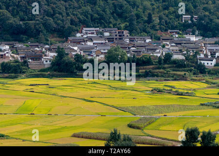 Honghe Hani Reisterrassen ist die Terrasse in der Präfektur Honghe, Yuanyang County, Yunnan, China. Es ist ein Weltkulturerbe und der Kulturen Stockfoto