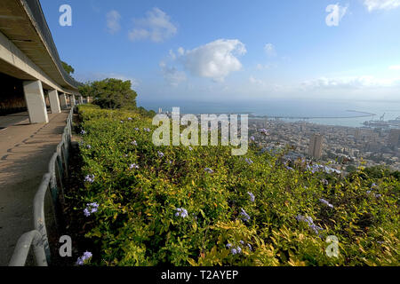 Israel, Haifa, eine Aussicht auf die Innenstadt und die Bucht vom Berg Karmel Stockfoto