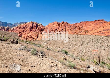 Bergblick in Red Rock Canyon Nature Conservancy Stockfoto
