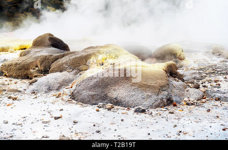 Heiße Quellen in Te Puia, Rotorua in Neuseeland auf der Nordinsel. Mit selektiven Fokus Stockfoto