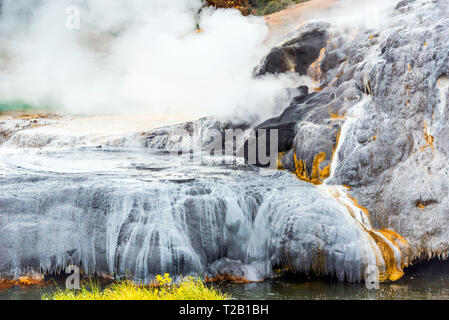 Heiße Quellen in Te Puia, Rotorua in Neuseeland auf der Nordinsel Stockfoto