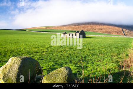 Eine alte und unvollendete Steinhaus liegt in einem großen Wiese für Schafe auf Slieve Binnian in der Mourne Mountains, Nordirland, Großbritannien. Stockfoto