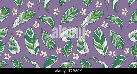 Schön gezeichnet Elegante exotische Pflanzen und Blumen nahtlose Muster mit tropischen Calathea Gebet Pflanze grüne und weiße Blätter und blühende Blumen auf Pu Stockfoto