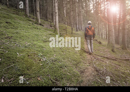 Ein Trekker wandern solo unter den Wald in ein bewölkter Tag Stockfoto