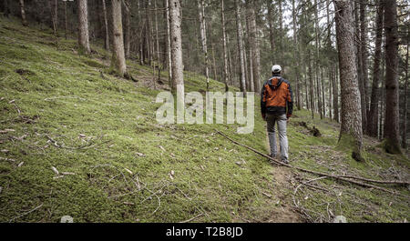 Ein Trekker wandern solo unter den Wald in ein bewölkter Tag Stockfoto