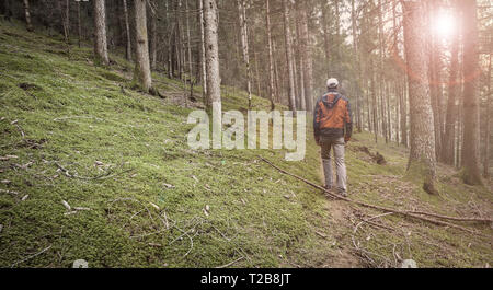 Ein Trekker wandern solo unter den Wald in ein bewölkter Tag Stockfoto