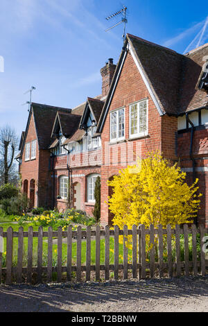 Old Red Brick terrassierten Hütten im Dorf Avebury Wiltshire England Großbritannien im Frühjahr mit Forsythia in Blume Stockfoto