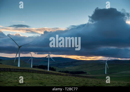 Wind Turbine power in Schottland - Wooplaw Wind Farm in der schottischen Grenze Stockfoto