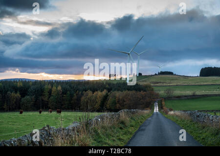 Wind Turbine power in Schottland - Wooplaw Wind Farm in der schottischen Grenze Stockfoto