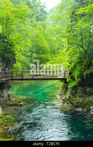 Die Schlucht Vintgar oder Bled Schlucht ist ein Spaziergang entlang der Schlucht im Nordwesten von Slowenien. Stockfoto