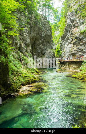 Die Schlucht Vintgar oder Bled Schlucht ist ein Spaziergang entlang der Schlucht im Nordwesten von Slowenien. Stockfoto