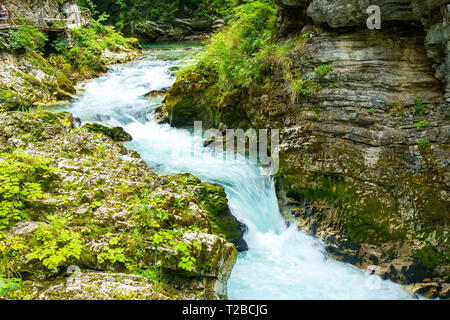 Die Schlucht Vintgar oder Bled Schlucht ist ein Spaziergang entlang der Schlucht im Nordwesten von Slowenien. Stockfoto