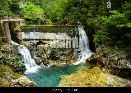 Die Schlucht Vintgar oder Bled Schlucht ist ein Spaziergang entlang der Schlucht im Nordwesten von Slowenien. Stockfoto