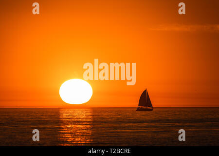 Ein Segelboot ist von Fort Myers Beach, Florida Segeln gegen den Sonnenuntergang am Abend auf dem offenen Meer gesehen. Stockfoto