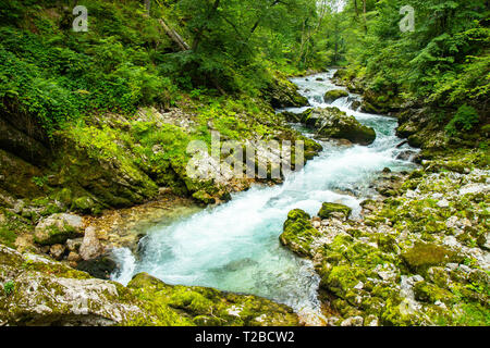 Die Schlucht Vintgar oder Bled Schlucht ist ein Spaziergang entlang der Schlucht im Nordwesten von Slowenien. Stockfoto