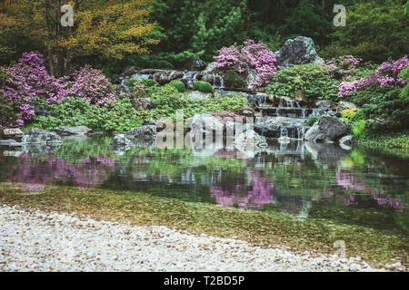 Teich mit Wasserfall in einem blühenden Japanischen Garten. Stockfoto