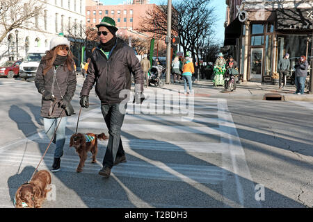 Ein paar Gehminuten ihre Hunde über die St. Clair im Warehouse District in Cleveland, Ohio, USA, während sich deutlich für den St. Patrick's Day holiday gekleidet. Stockfoto