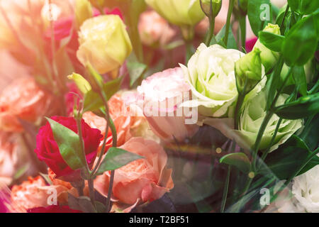 Blumenstrauß aus roten und weißen Rosen. Dekorativer Blumenschmuck der weißen und roten Rosen in der Sonne Stockfoto