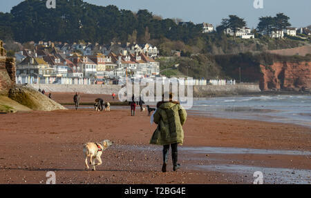 01/02/2019 Hund Spaziergänger auf Paignton Paignton, Devon. Wie 20190401 A-003 C Stockfoto