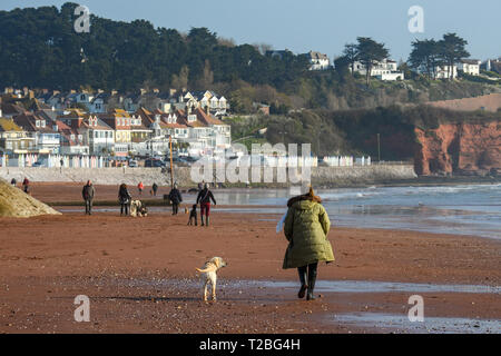 01/02/2019 Hund Spaziergänger auf Paignton Paignton, Devon. Wie 20190401 A-004 C Stockfoto