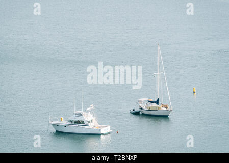 Boote im Hafen, in Dana Point, Orange County, Kalifornien Stockfoto