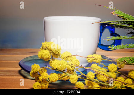 Twig von Mimosa mit einem Kaffee in eine Tasse, ein unscharfer Sonnenuntergang Hintergrund Stockfoto