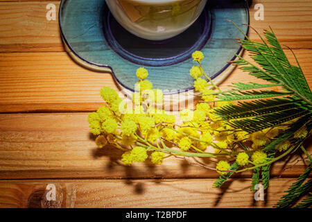 Twig von Mimosa in der Nähe einer Kaffeetasse auf einem Holztisch, Nahaufnahme Stockfoto
