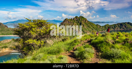 Luftaufnahme von Hügeln in Pulau Padar Insel zwischen Komodo und Rinca Inseln in der Nähe von Labuan Bajo in Indonesien. Stockfoto