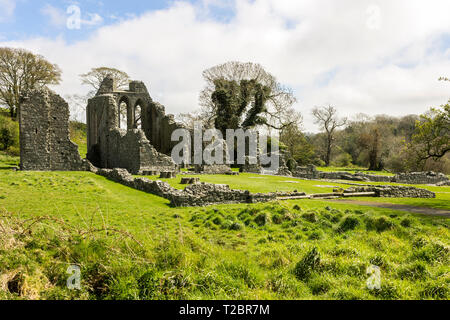 Inch Abbey, Nordirland, eine große zerstörten Klosteranlage in der nähe von Downpatrick, County Down am nördlichen Ufer des Flusses Quoile Stockfoto