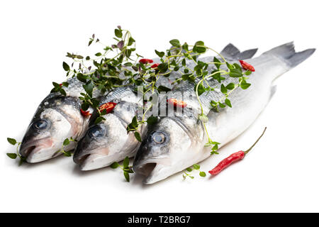 Frische ganze Wolfsbarsch Fisch mit Gewürzen isoliert auf einem weißen Stockfoto