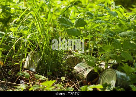 Müll im Wald., grün. Eine wilde Müllkippe - Ökologie, Stockfoto