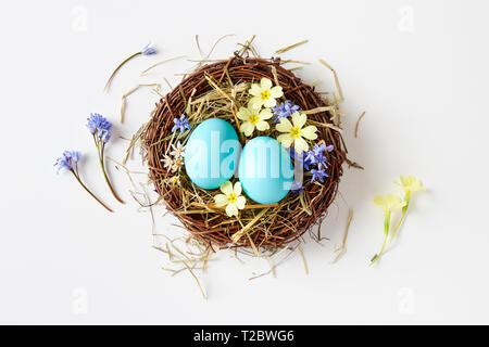 Ostern Dekoration mit Nest, Eier und Frühlingsblumen. Blaue Ostereier im Nest mit zarter Frühling Blüten. Stockfoto